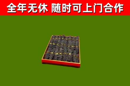 苍梧县回收海参